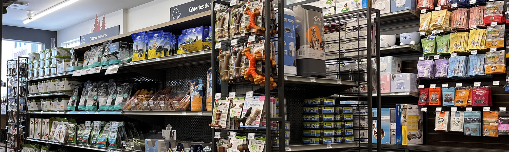 petstore petstore