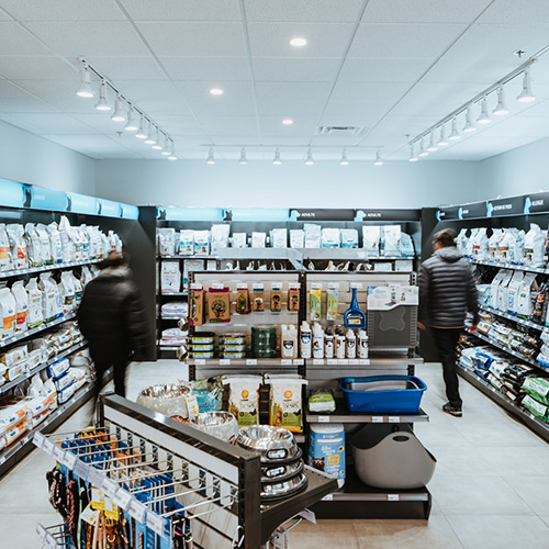 vicglobal-55